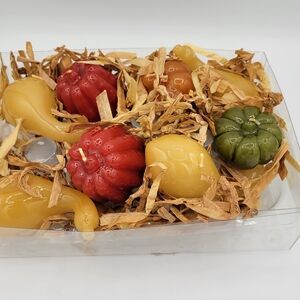 Chris Madden Jcp Home‎ Autumn Traditions Pumpkin And Gourd  Candles Fall Decor